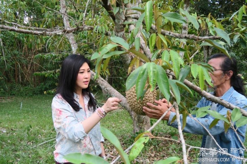 前总理英拉现身那空那育府