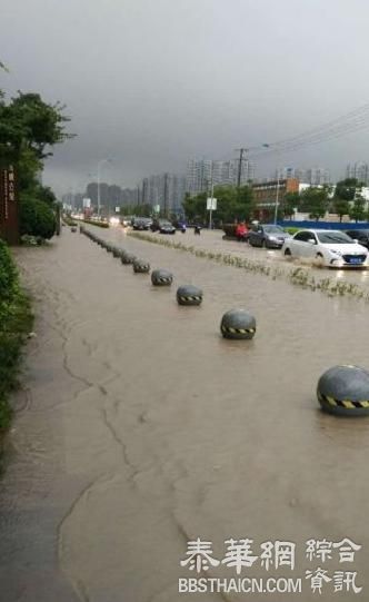 暴雨，请到上海去看海