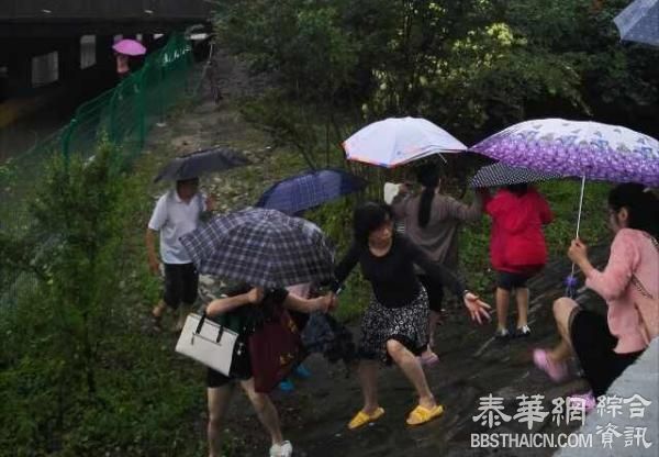 上海嘉定区暴雨成“威尼斯”：26个桥洞封闭，居民划艇出行