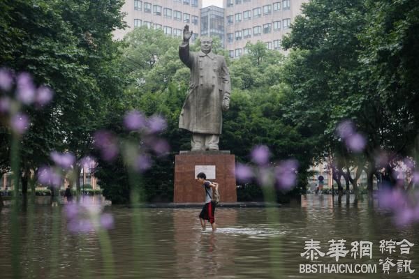 上海东北片区多所大学暴雨被淹，同济：前年开始研究解决方案