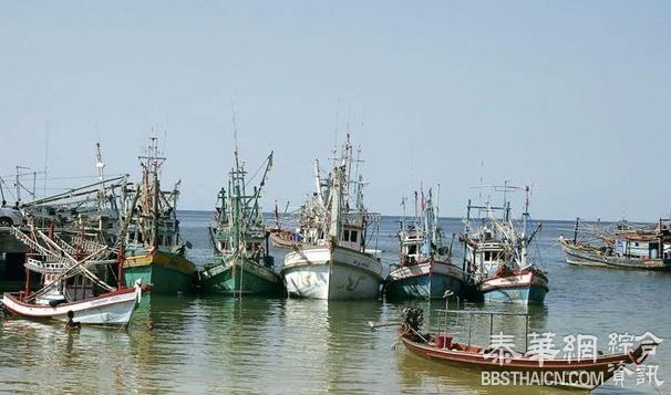 渔船登记禁令已酿成海鲜危机 多地渔船不敢出海 海鲜供应面临中断