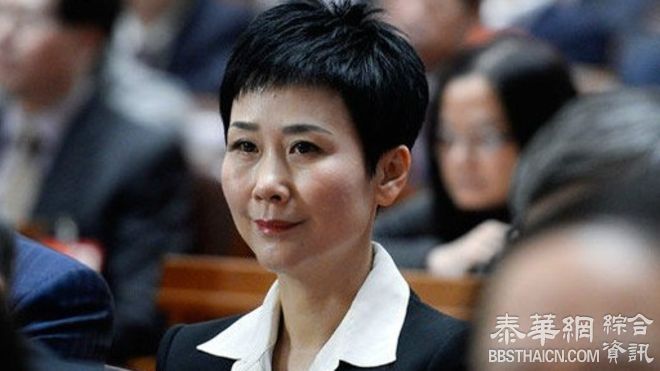 前中国总理李鹏女儿李小琳转任大唐电力集团副总