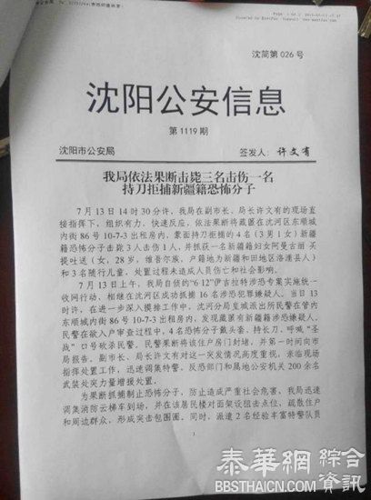 “沈阳砍杀事件”：击毙3名新疆暴恐分子