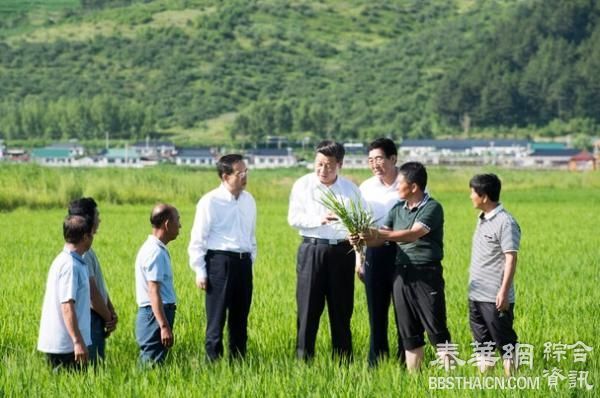 习近平考察吉林延边朝鲜族自治州，深情回忆《红太阳照边疆》