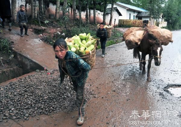 环球时报：大凉山孩子这样穷，为什么还办奥运？