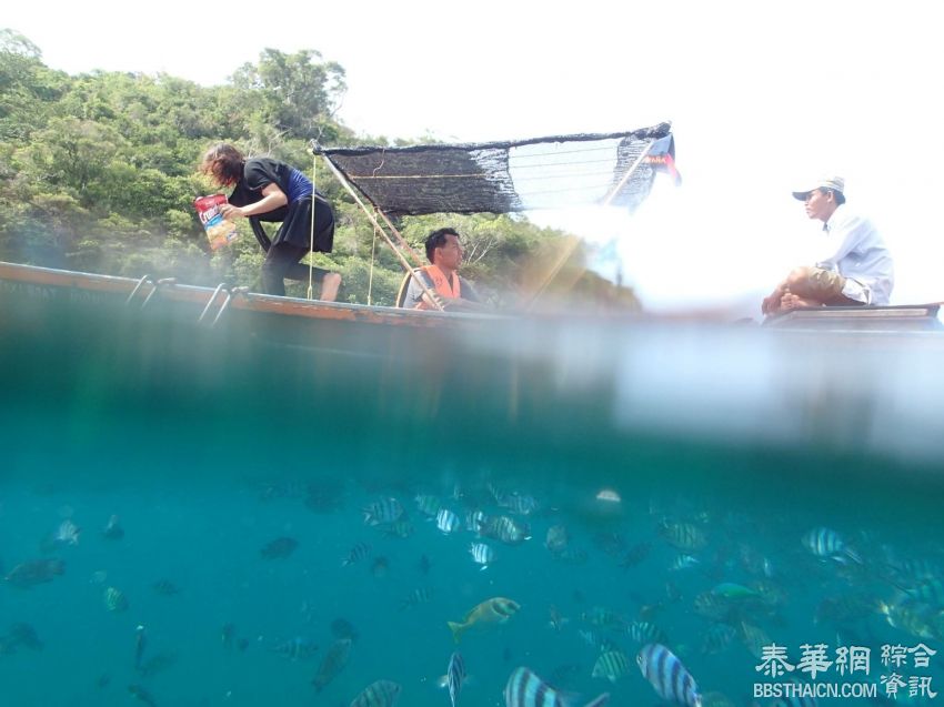 最美岛屿没有之一—涛岛（Koh Tao）