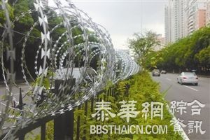 深圳福田区用刀片刺网防行人翻护栏穿马路