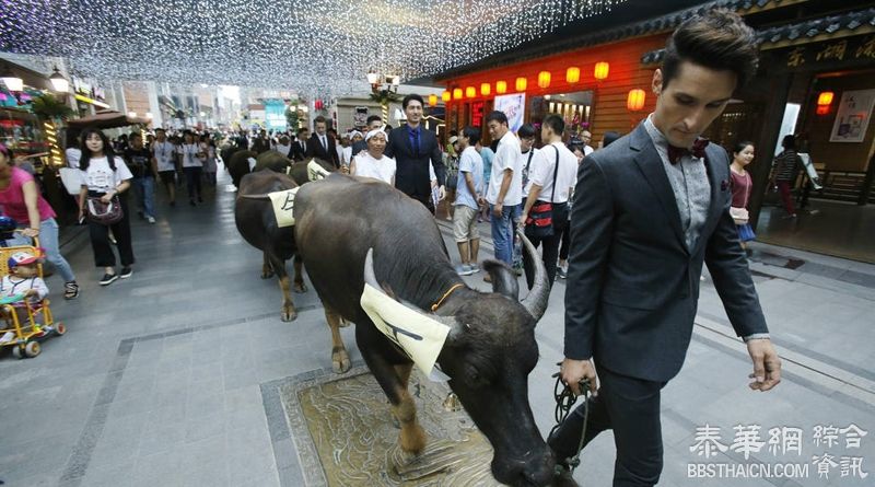 武汉外国男扮牛郎庆七夕