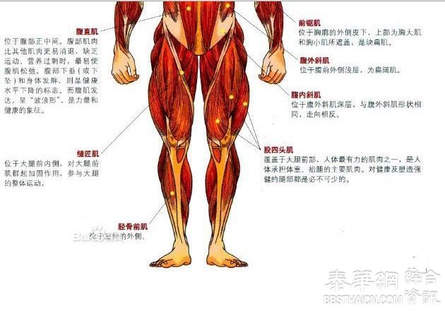 踢打腿肚养生防病