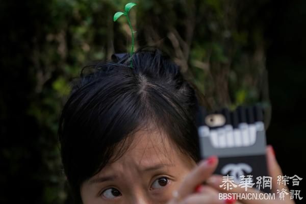“头上长草”发夹走红引发争议，被质疑出自“插草卖身”民俗