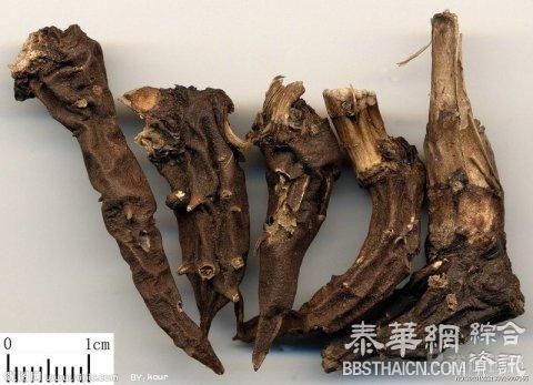 云南村民邀亲友尝“断肠草炖猪脚” 6人中毒身亡