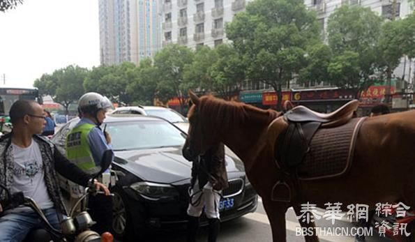 江西南昌真马受喇叭声惊吓踢瘪宝马车，交警认定宝马司机全责