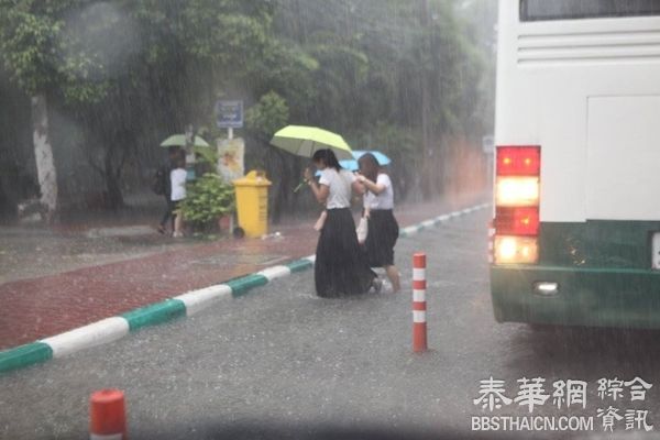 很辛苦！大雨下来之后 曼谷的他们是这样的过街的