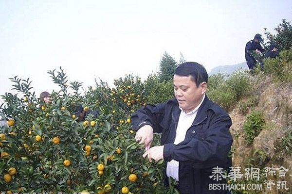 江西南丰公安局长降为科员，系该省首个违规插手工程被免案例