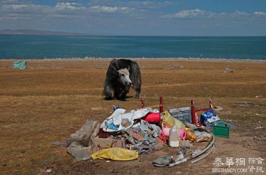 青海湖面临垃圾环湖，景点周边游客遗弃大量生活垃圾