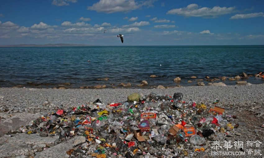 青海湖面临垃圾环湖，景点周边游客遗弃大量生活垃圾