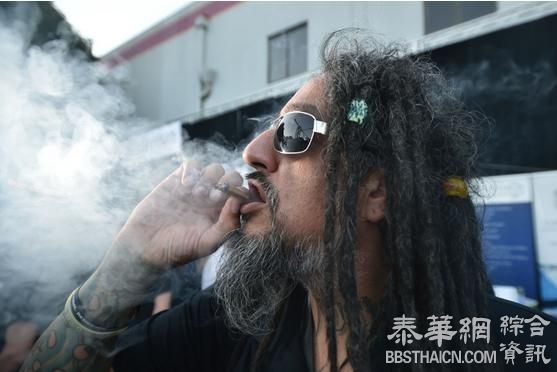 美捣中国合成大麻拘151人 南京一公司涉案被制裁