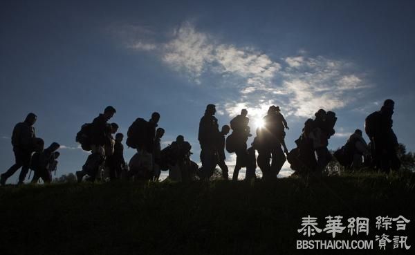 警察骑马护送上千难民，斯洛文尼亚称急需欧盟警力支援