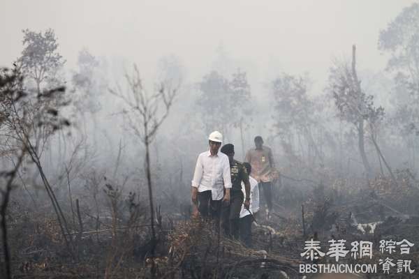 印尼林火仍有1500多处 东南亚“迷雾重重”到明年