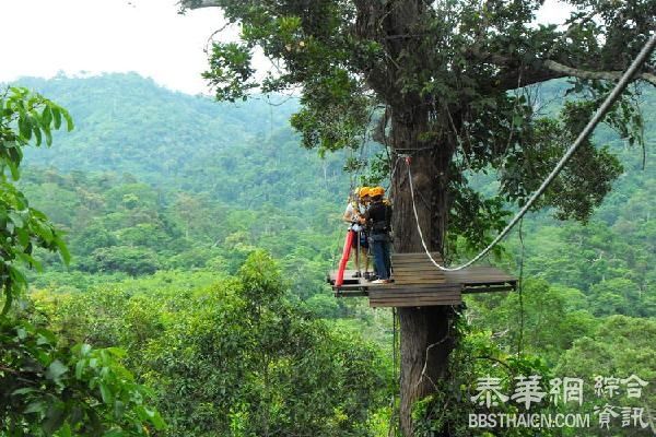 合肥女游客殒命泰国 家属已签赔偿协议