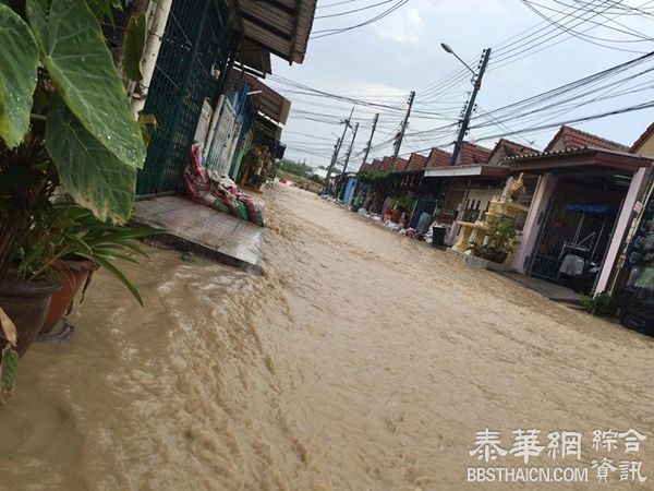 芭提雅水灾