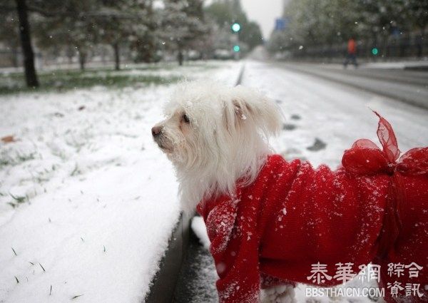 北京降大雪 天安门士兵换“白军装”引合照