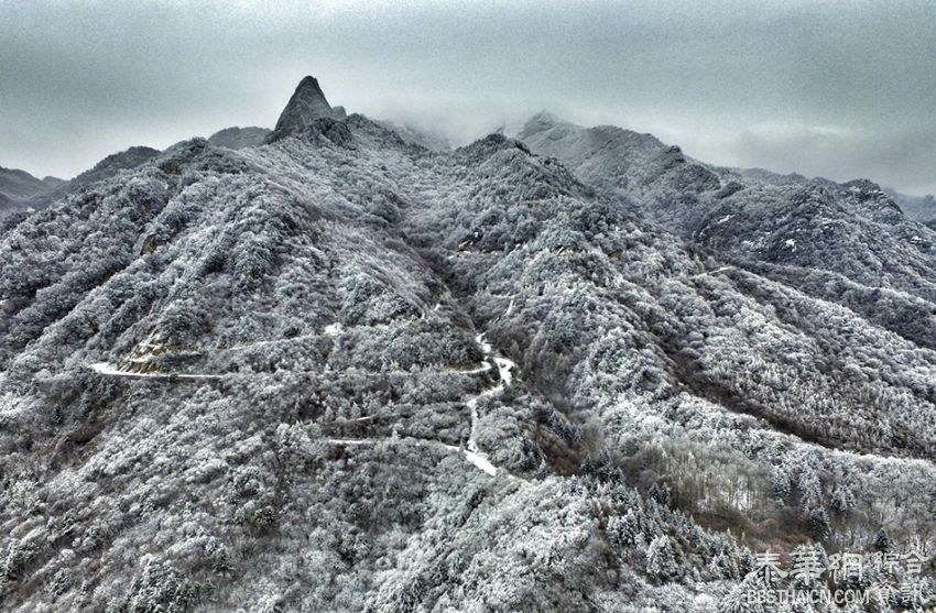 西安，清晨的一场雪过后.........