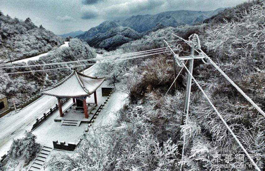 西安，清晨的一场雪过后.........