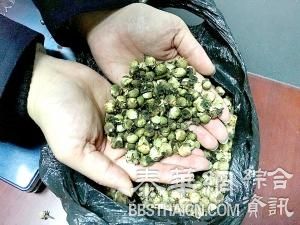 江苏居民2000多购“天山雪莲” 只是十几元花茶