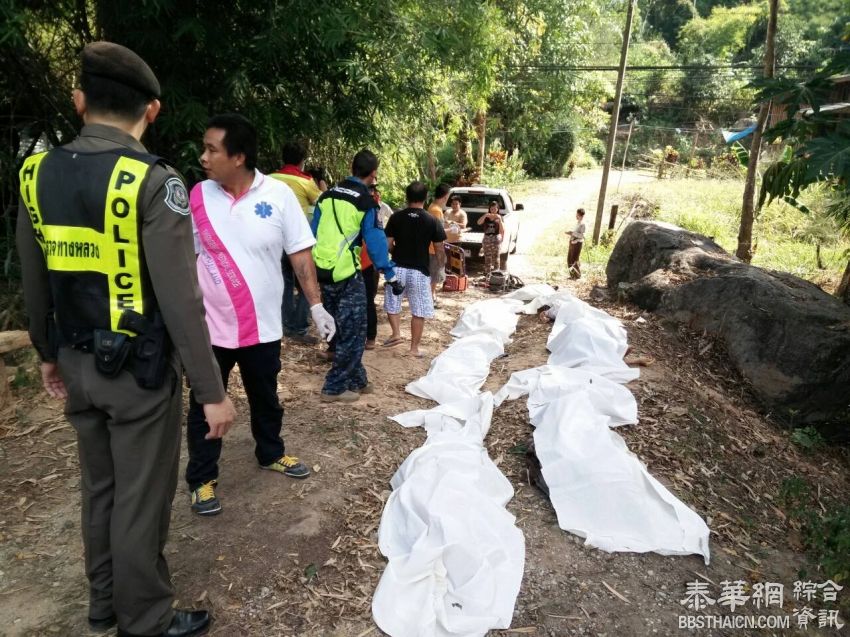 马来西亚团巴士清迈翻下山 14死11伤
