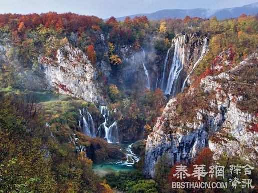 企鹅张嘴「崩坏照」　入选《国家地理》年度最佳美图