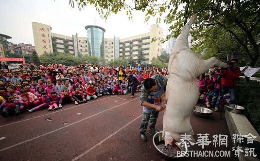 重庆小学组织学生操场集体看杀猪过平安夜