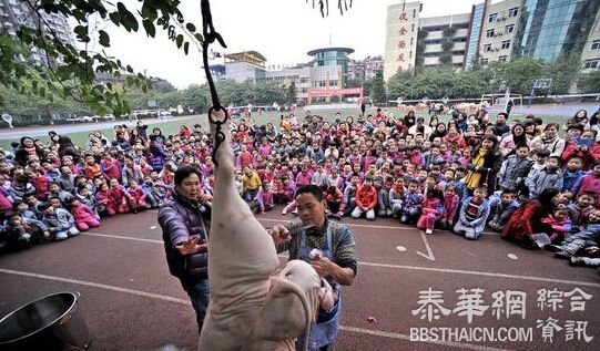 重庆小学组织学生操场集体看杀猪过平安夜