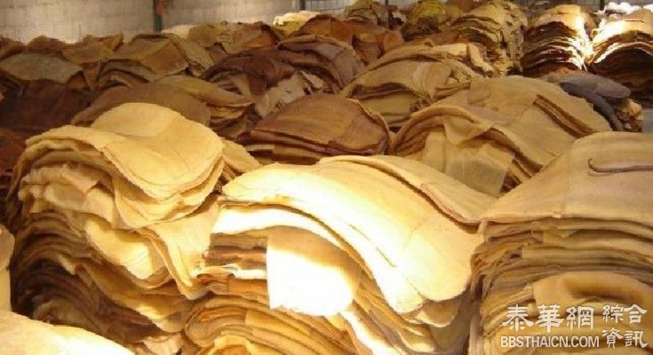 中国公司违约 泰方取消橡胶采购协议