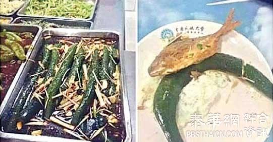 天津高校奇葩菜 整条青瓜炒大葱