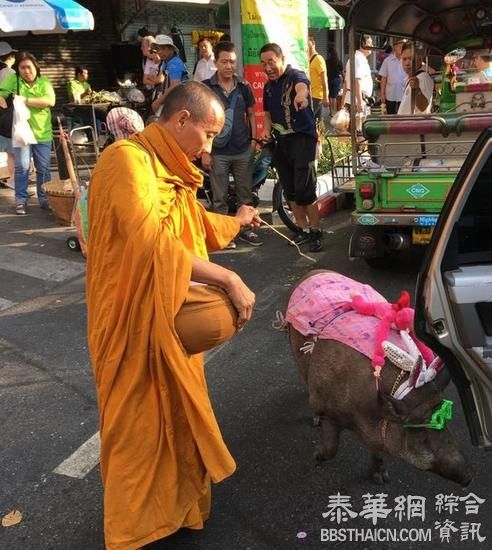和尚化緣 奇招百出