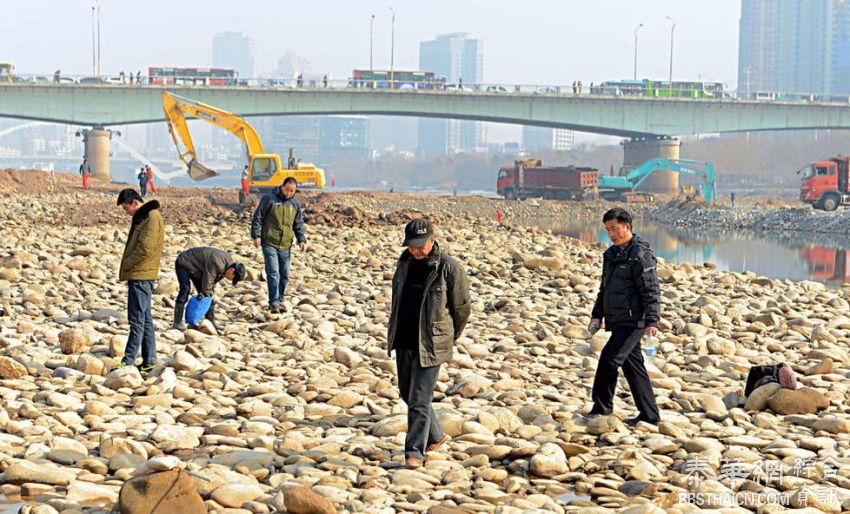 黄河干了，市民纷纷到河心捡石头