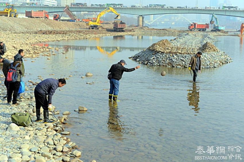 黄河干了，市民纷纷到河心捡石头