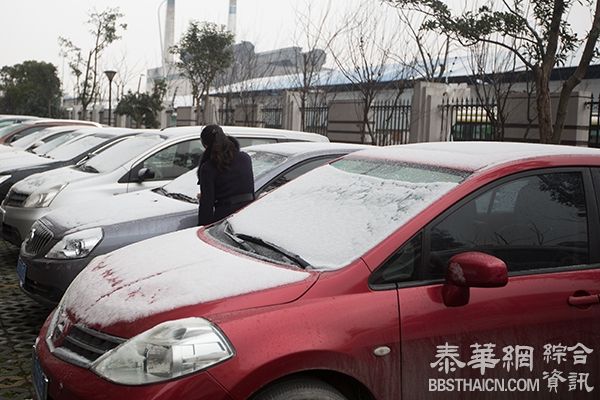 一夜飘洒上海今冬终见积雪：部分高速限速，已在除雪除冰