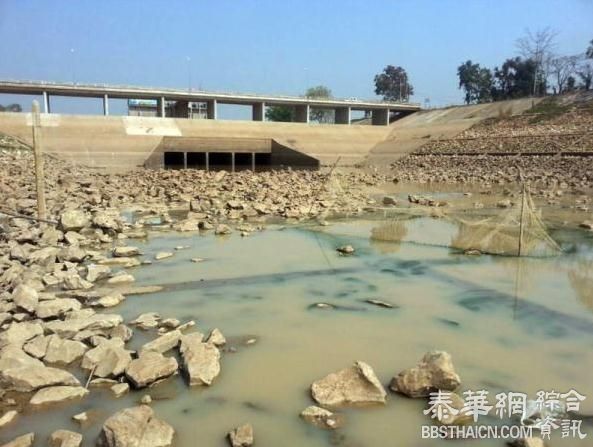 专家：泰国今年或遭遇更严重旱灾