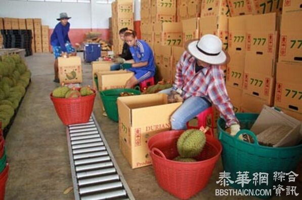 内贸厅将续查148家已登记中国水果收购站