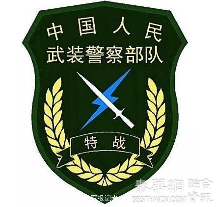 中国大陆武警部队统一更换新式标志服饰