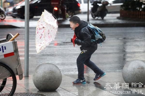 上海大风蓝色预警仍未撤销，今起三天明显降温周末回暖