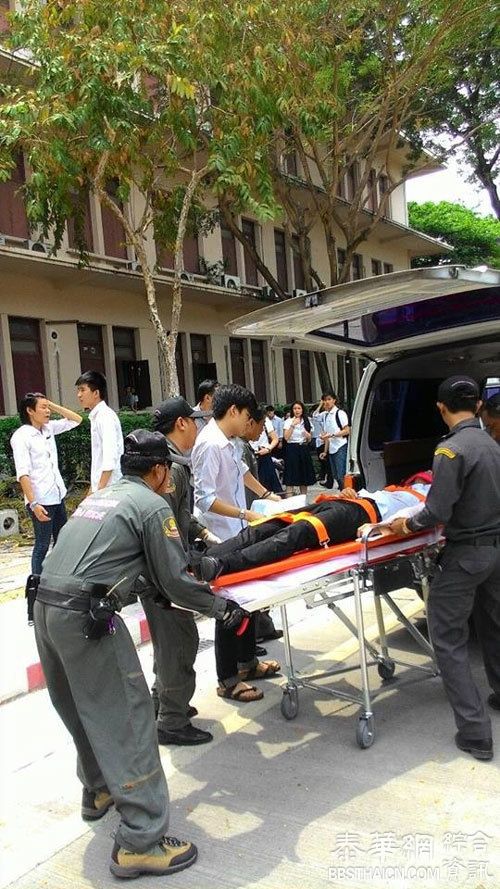 朱大树木被白蚁蛀断 砸伤7大学生