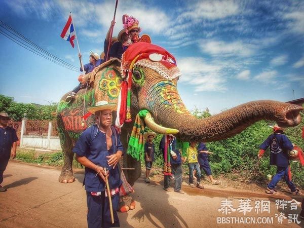 素可泰Hatsiao大象节即将到来