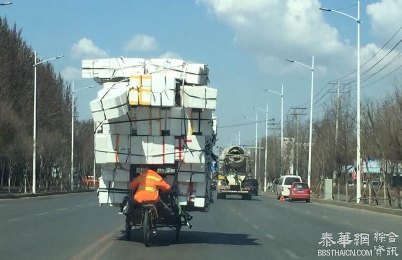 沈阳街头现“最牛倒骑驴” 乍看以为无人驾驶呢(组图)