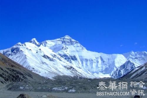 珠峰保护区红外相机捕捉到大量雪豹野外状态影像