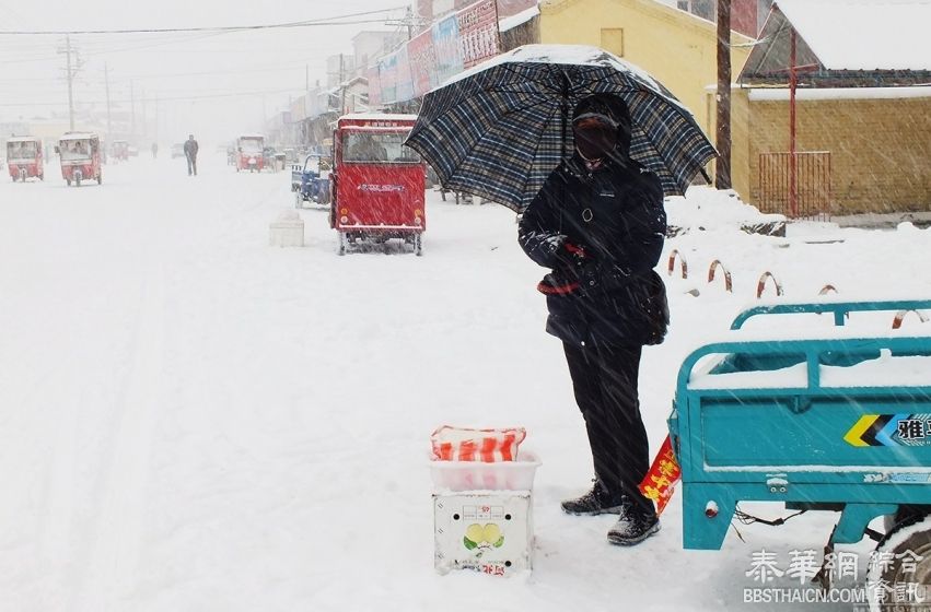 内蒙古四月遭遇暴雪 街头积雪深达30厘米(高清组图)