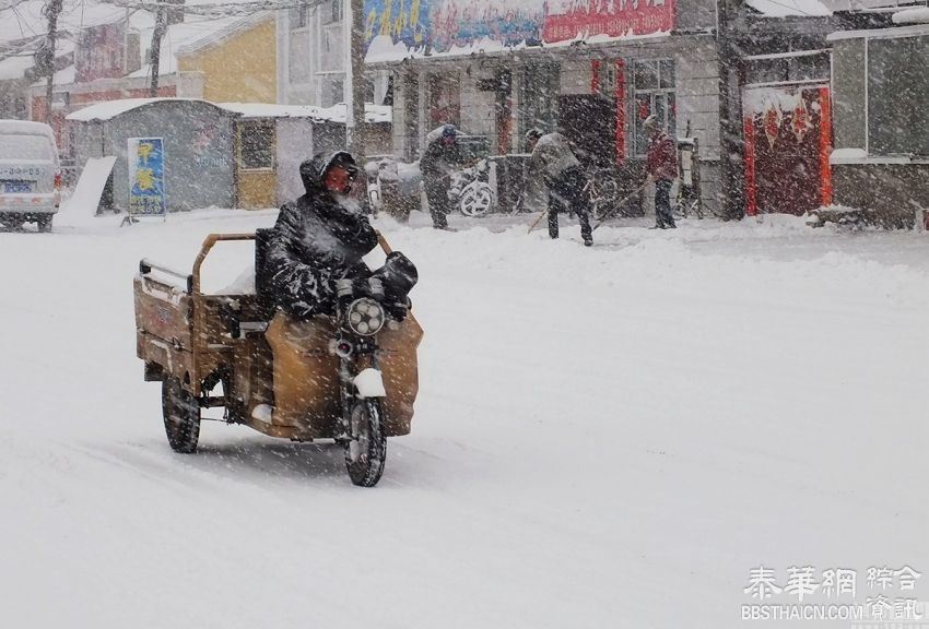 内蒙古四月遭遇暴雪 街头积雪深达30厘米(高清组图)