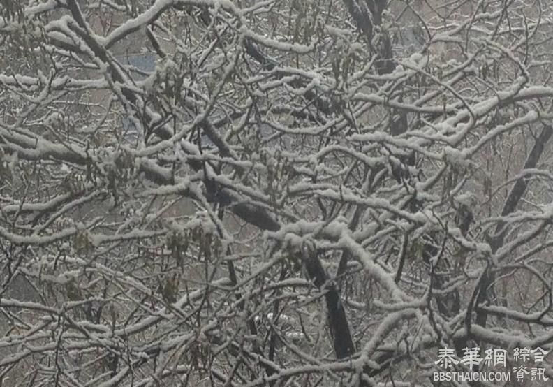 清明时节雪纷纷！宁夏回族自治区银川下雪了